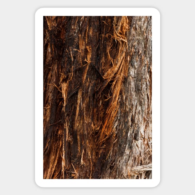 Fire Red String Bark Burnt Tree Trunk - Alternative Sticker by textural